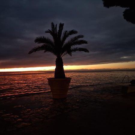 Apartma Sinitus Izola Εξωτερικό φωτογραφία